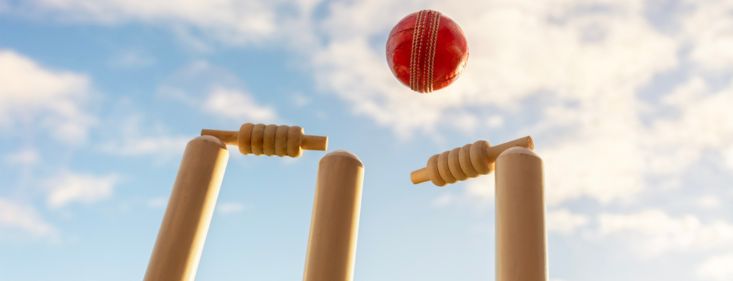 Delhi court issues injunction against rogue websites streaming IPL matches
